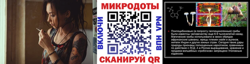 Псилоцибиновые грибы Cubensis blacksprut Саратов
