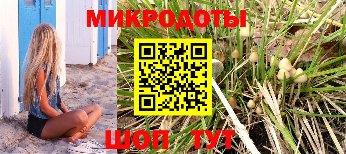 Галлюциногенные грибы прущие грибы Саратов