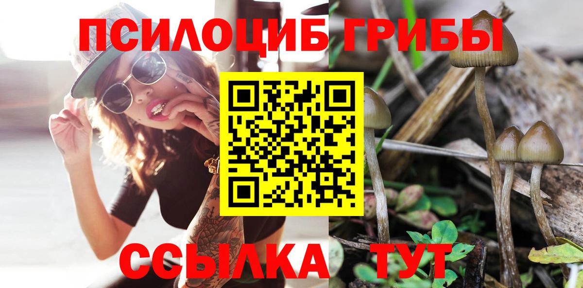 Галлюциногенные грибы мицелий  Вход с VPN  Саратов 