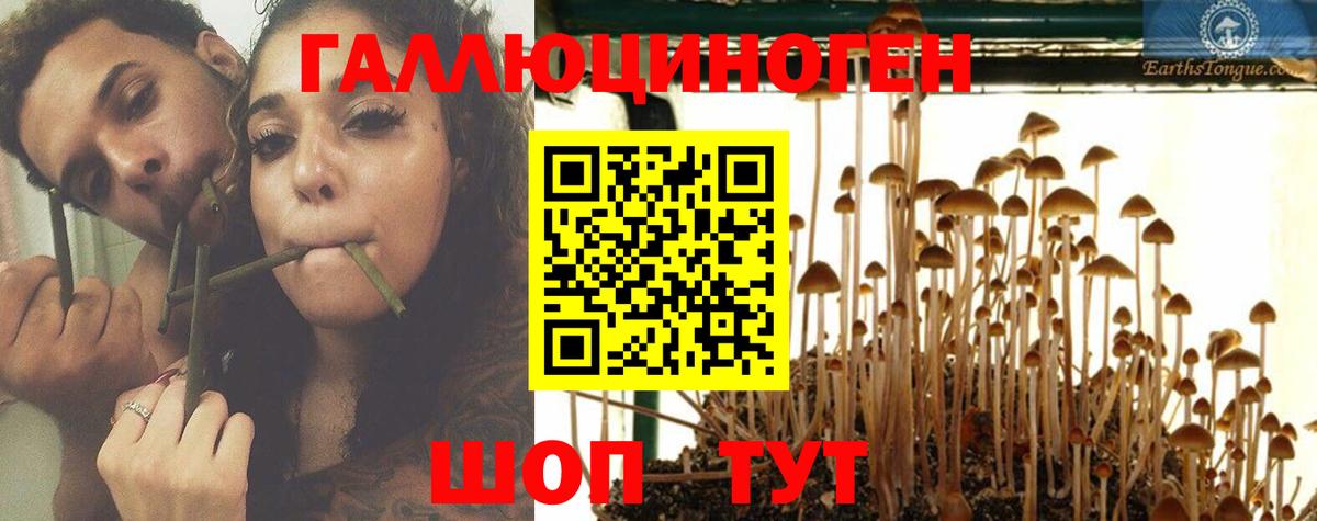 Галлюциногенные грибы Magic Shrooms Саратов